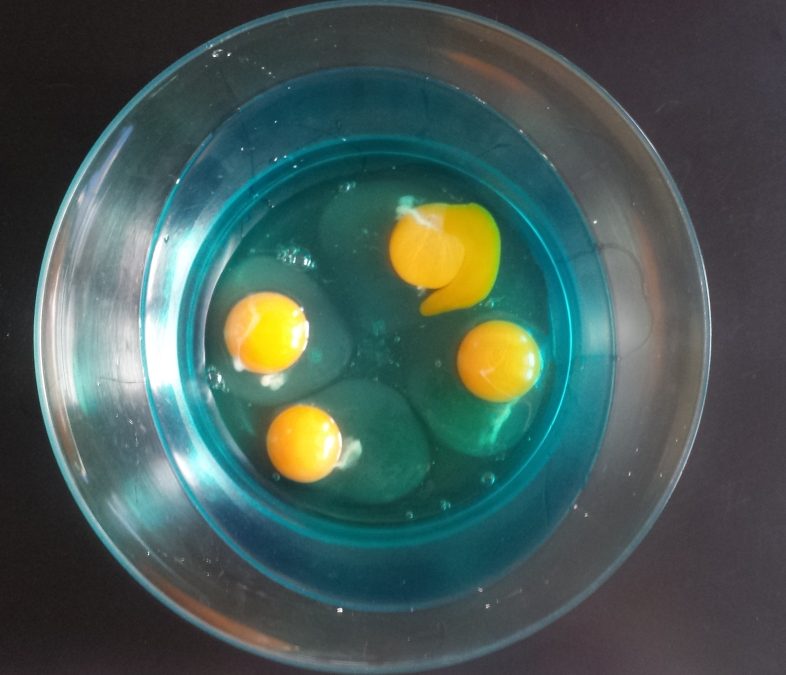 oeufs