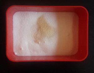 sucre-sucre-vanillé